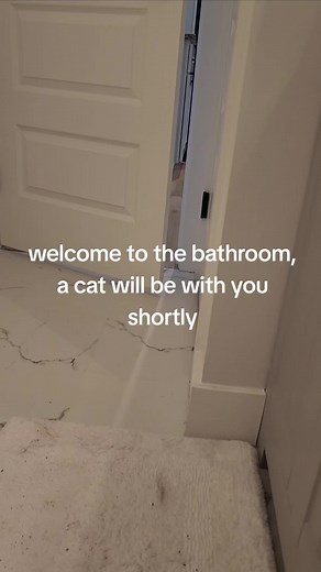 Welcome to the Bathroom with a Norwegian Forest Cat
