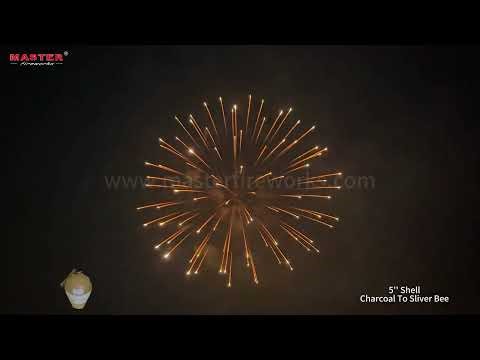 5‘’ Shell - Charcoal To Sliver Bee #fireworks