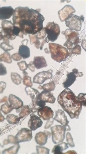 I traveled miles just to collect this river water sample