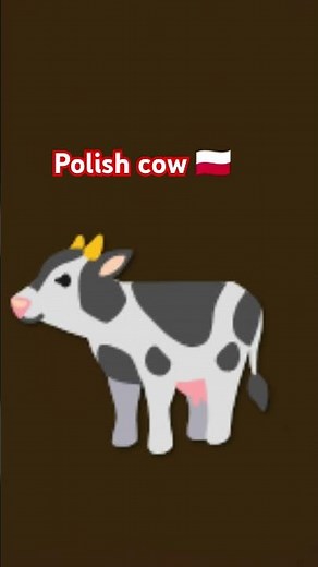 Polish cow🇵🇱