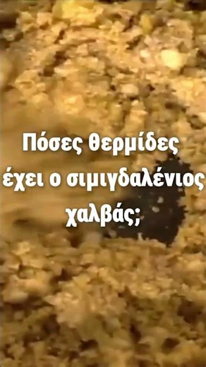 Πόσες θερμίδες έχει ο σιμιγδαλένιος χαλβάς ολικής; | Βέφα Αλεξιάδου