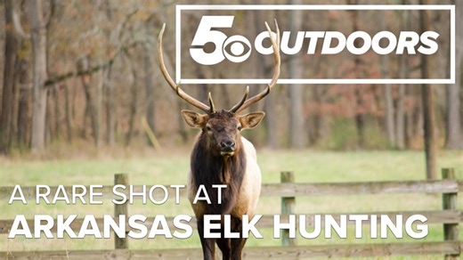 A rare shot at Arkansas elk hunting | 5OUTDOORS