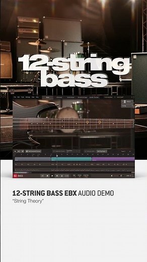 12-String Bass EBX – In the Mix!