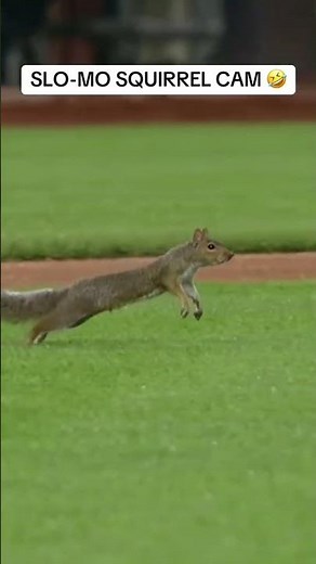 look at those STRIDES