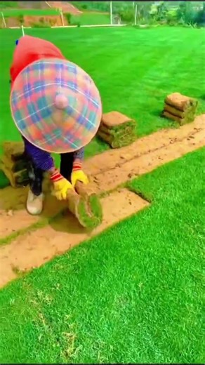 Professional Instant Lawn Installation Transform Your Yard Fast