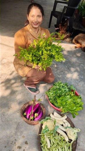 Organic farming in india, Vegetable harvest 🧺 #vegetables #organic #farming #farmlife #growyourown