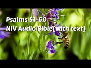 Psalms 51-60: NIV Audio Bible(with text)