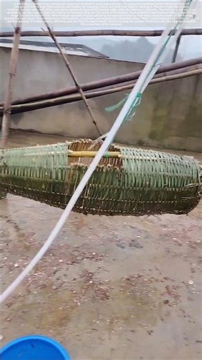 Creative tools for cleaning and peeling taro