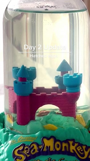 Andrew Cretaro on TikTok