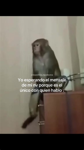 #fyp #monitos #monkey #dedicar #fypシ゚ | Me Waiting For Him To Text