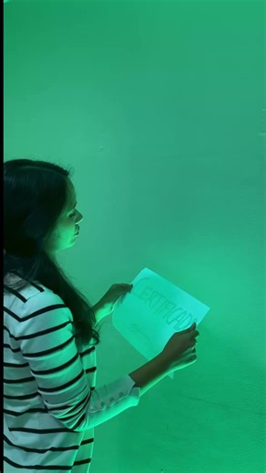 Domina Excel a nivel Experto: Curso completo en 14 días