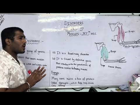 Muscular Dystrophy Explained (Part 1): What It Really Does to the Body