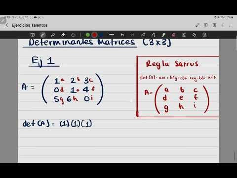 Determinante Matriz 3x3 Ejemplo 1