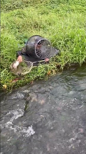 Extreme Fishing Tricks