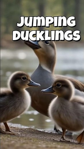 🦆 DUCK CLAWS !!! (The Wood Duck Nests in Trees)