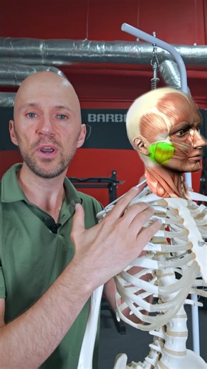 👀 Ever notice your jawline looks uneven? It’s not just in your head — tight or imbalanced muscles can change how your jaw rests. But with some simple drills and better tongue posture, you can get real relief and better alignment. Follow for more tips and free mobility insights! | Zac Cupples