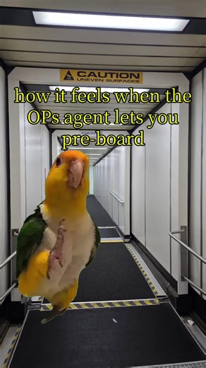 Shout out to the OPs agent! #rampagent #rampagentmemes #mrstealyourtug #rampagent