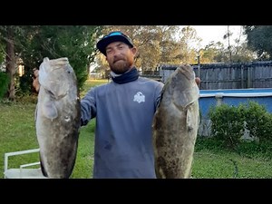 Shallow water grouper trolling