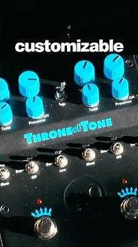 Throne of Tone overdrive by Warm Audio