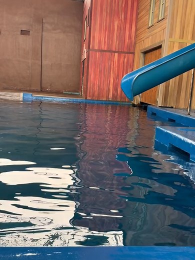 Seal, Sea Lion, and Walrus Encounter