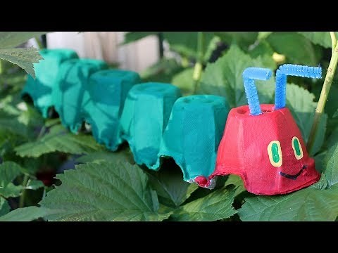 Caterpillar egg carton craft
