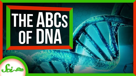 Here's what DNA really looks like