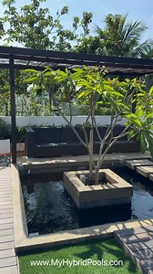 1.2K views | A Window to Wonder: The Glass-Bottom Pool Experience...