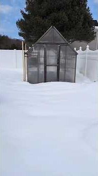 Starting Spring Gardening Early with the Greenhouse #newyork #longisland #garden