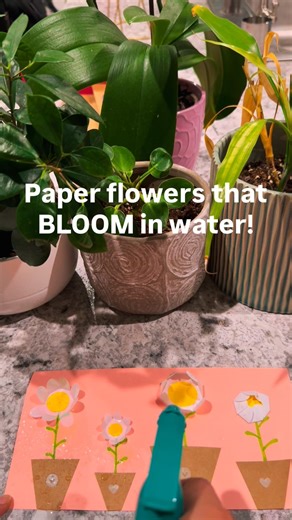 This Paper Flower BLOOMS with Water 😳💦 | Easy Science Prank