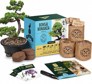 [Hot Item] Bonsai Tree Kit - Grow 3 Mini Bonsai Trees, Indoor Plant Growing Kit - Bonsai Starter Kit with Bonsai Seeds, Soil, Planters & Shears, Gardening Gifts for Women