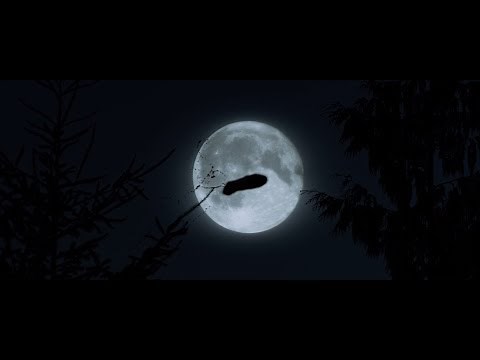 I Miss My Dick (Music Soundtrack Theme from The Package)