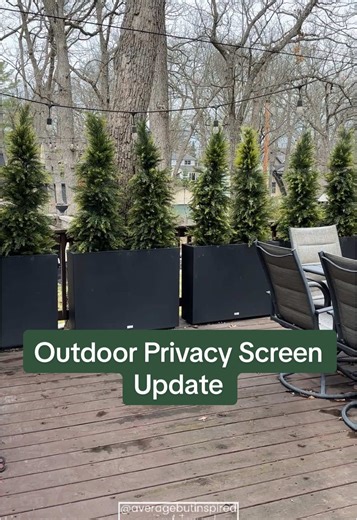 Outdoor Privacy Screen Surviving Wisconsin Winter