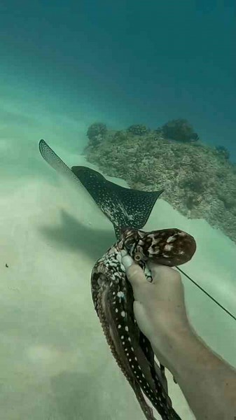 You Guys Should Be Friends – Underwater Moment