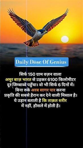 The eagle's continuous flight of 6100 km ...#Falken #fly #birds #Zimbabwe #facts #flylikeabird