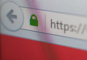 Paso a paso: cómo navegar con seguridad con conexiones encriptadas
