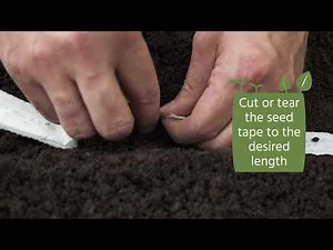 How to Plant Using Seed Tape