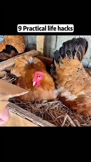 DIY2HOME on Instagram: "Drop ❤️ if you want more posts like this #homehacks #hometips"