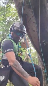 No Rope Runner Pro? No problem! Notch team member Mao demonstrates how the Magneato can be used with other devices. Grab a Magneato for yourself 👉 https://notchequipment.com/magneato/ 📹 Mao Ropelombia #ElevatingArborists #NotchEquipment #Magneato | Notch Equipment