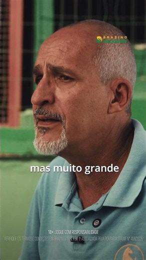❤️ A realidade dos abrigos de animais no Brasil vai partir seu coração #brasil #solidario #piadas