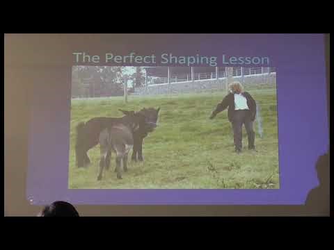 Ben Hart Shaping Behavior Part 2 A Written Shaping Plan