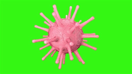 Coronavirus, ไวรัส