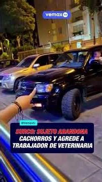 SURCO: MAN ABANDONS PUPPIES AND ASSAULTS VETERINARY WORKER 🚨🐶