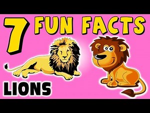 7 FUN FACTS ABOUT LIONS! LION FACTS FOR KIDS! Roar! Africa! Cats! Learning Colors! Funny Sock Puppet