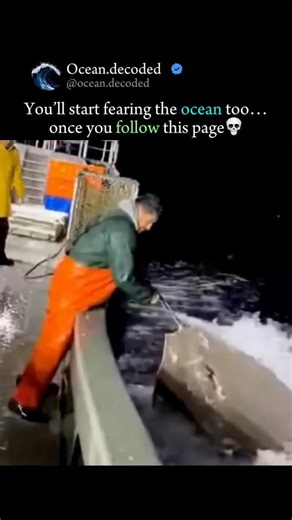 Ocean Decoded 🌊 on Instagram: "Mistakes were made... led to this tragic ending. J double-check your readings. One wrong signal * Always * Towering Rogue Waves: Walls of water smashing ferries head-on *Freezing Temperatures: One fall overboard = minutes to survive -Constant Traffic: Ferries, cargo ships, oil rigs — zero margin for error There are no monsters here. No myths. Just physics, cold, and bad odds. . . . #trendingreels #mindblowing #oceanmystery"