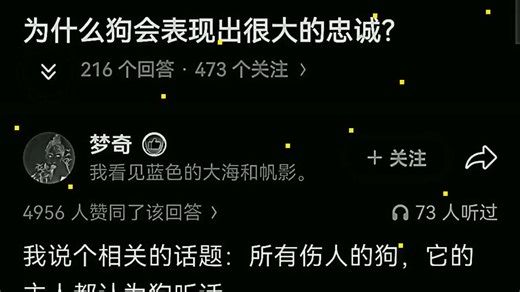 为什么狗会表现出很大的忠诚？