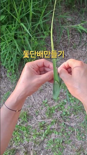 Making a Sailboat out of a Leaf