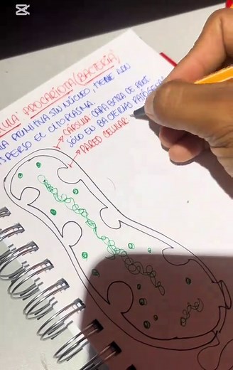 Celula Procariota: Conceptos Clave en Biología