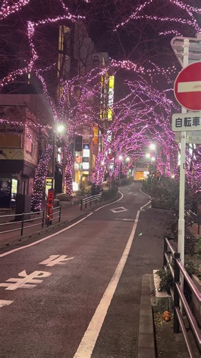 渋谷の冬イルミネーションを楽しむ理由