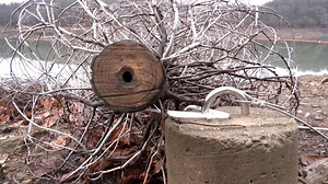 Stories of the Week:  December 22 through December 28