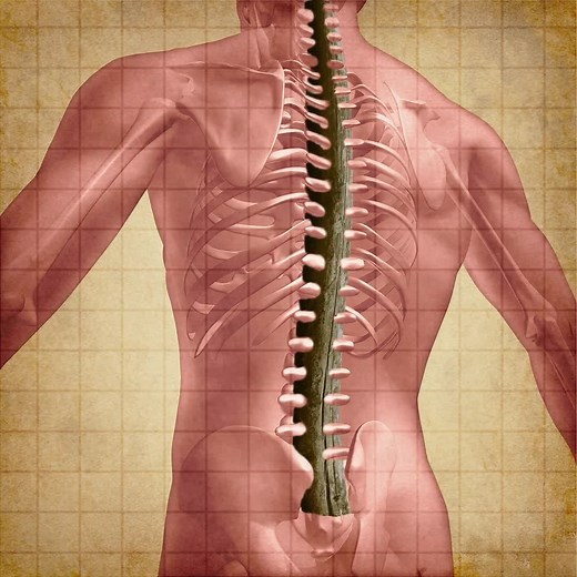 56 reactions · 39 shares | 1 Simple stretch may relieve severe Back Pain and Sciatica without having to leave the house. Presenting this simple, at-home 30 second stretch that can safely help relieve back pain:  https://smarturl.it/BackPainStretch  | Emily Lark - Back to Life | Facebook